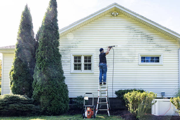 Local Pressure Washing Services in Yellow Springs, OH
